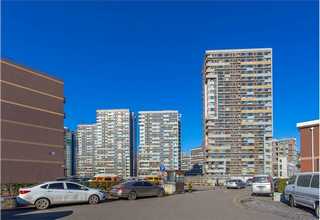 杨浦区黑色铁芯扎线