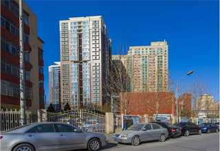 山东复合异形袋批发