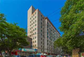 安徽绿色纸塑胶生产